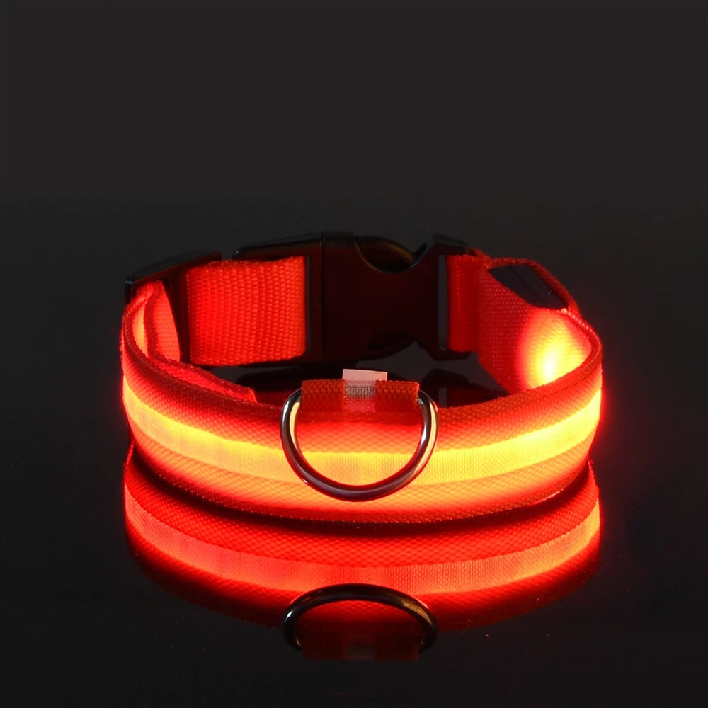 Night Safety Glow in the Dark Luminous Fluorescent Pet Dog Collar
