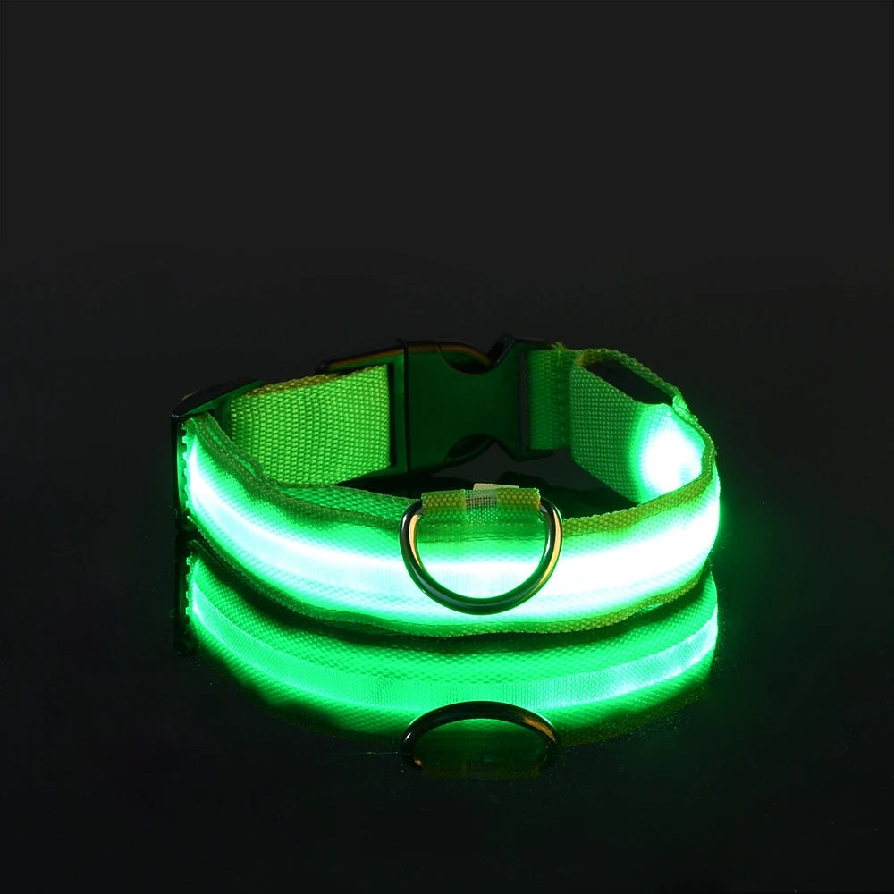 Night Safety Glow in the Dark Luminous Fluorescent Pet Dog Collar