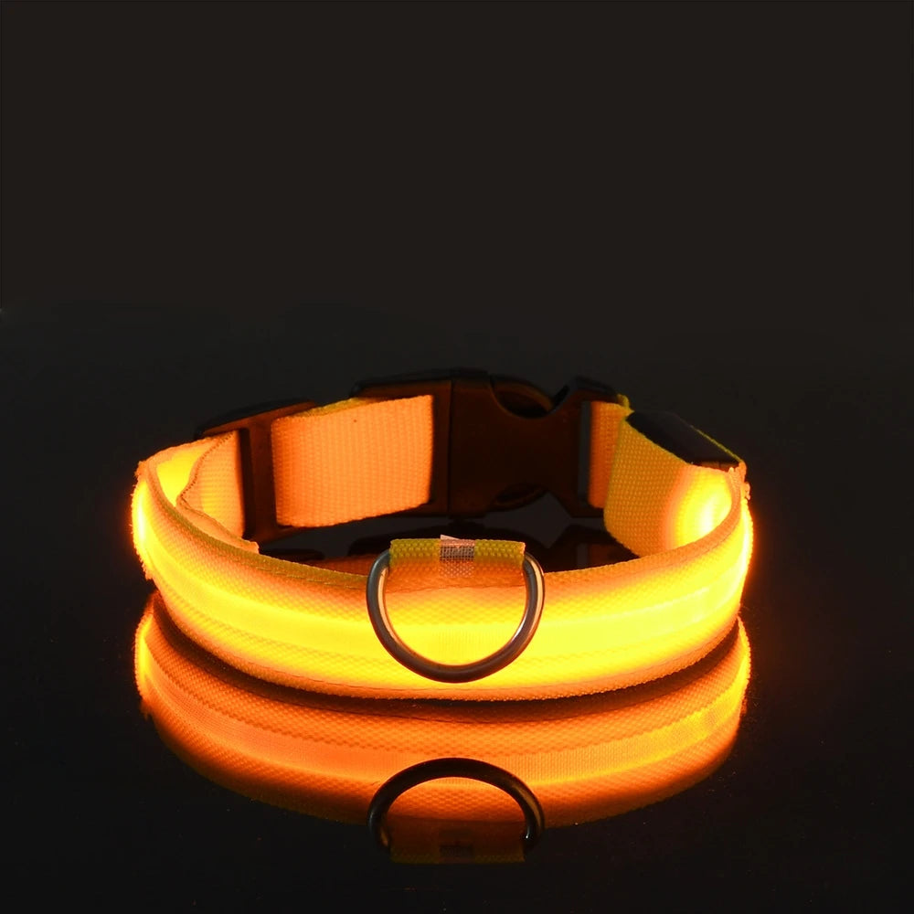Night Safety Glow in the Dark Luminous Fluorescent Pet Dog Collar