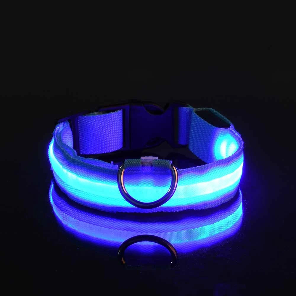 Night Safety Glow in the Dark Luminous Fluorescent Pet Dog Collar