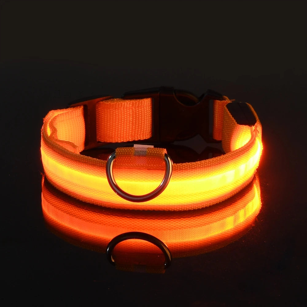 Night Safety Glow in the Dark Luminous Fluorescent Pet Dog Collar