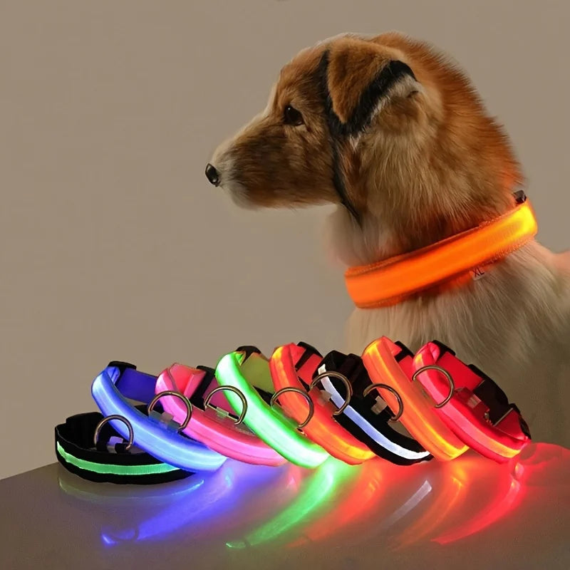 Night Safety Glow in the Dark Luminous Fluorescent Pet Dog Collar