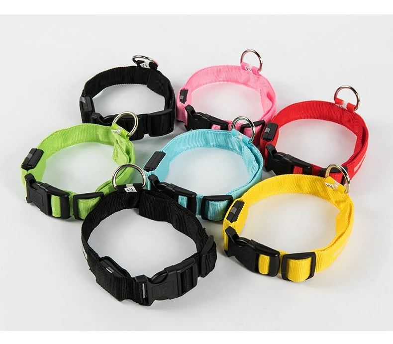 Night Safety Glow in the Dark Luminous Fluorescent Pet Dog Collar