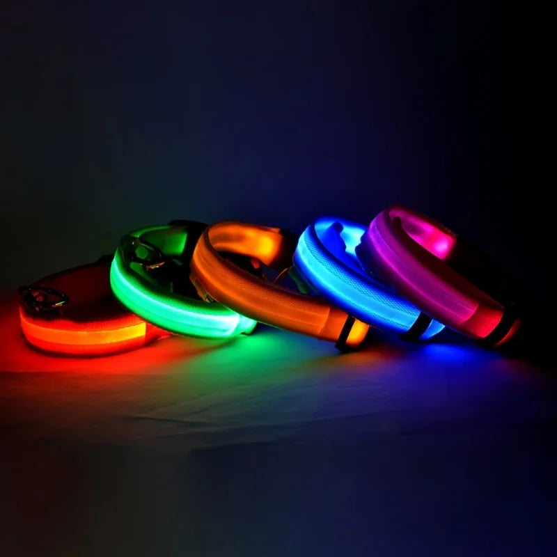 Night Safety Glow in the Dark Luminous Fluorescent Pet Dog Collar