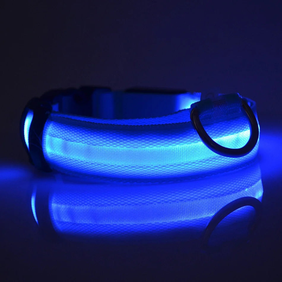 Night Safety Glow in the Dark Luminous Fluorescent Pet Dog Collar