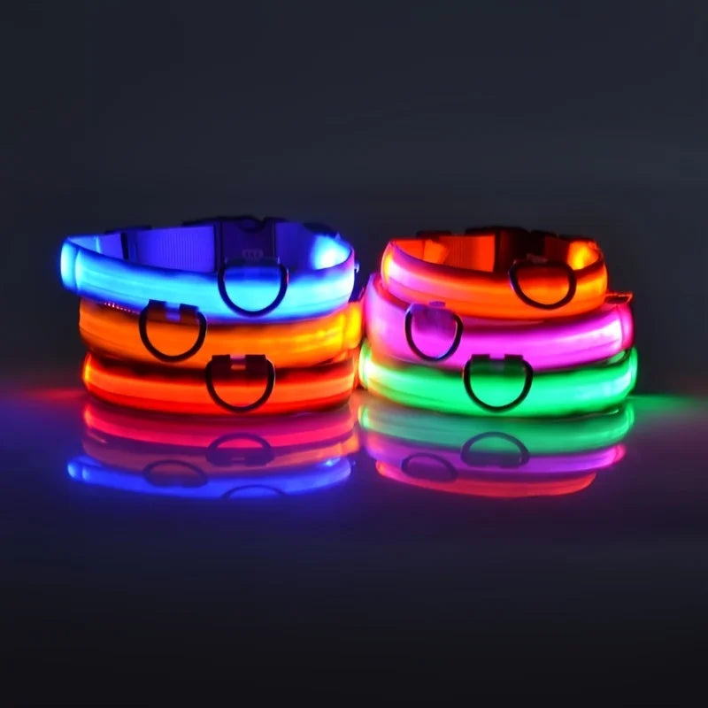 Night Safety Glow in the Dark Luminous Fluorescent Pet Dog Collar