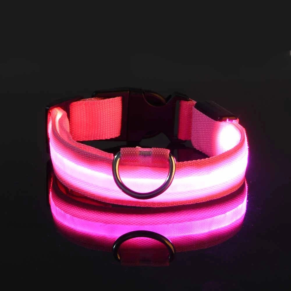 Night Safety Glow in the Dark Luminous Fluorescent Pet Dog Collar