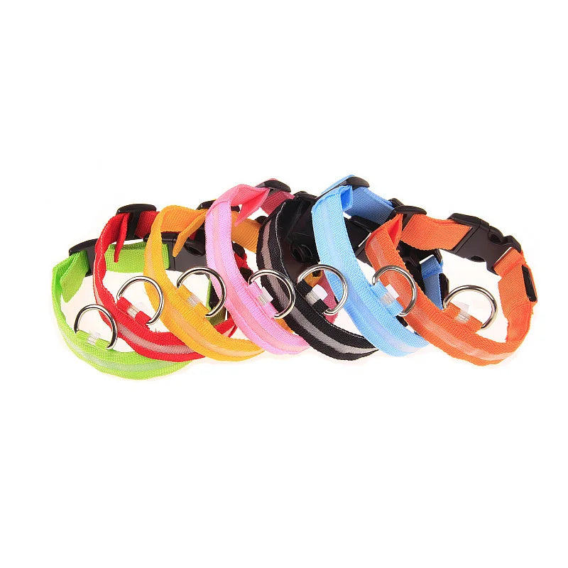 Night Safety Glow in the Dark Luminous Fluorescent Pet Dog Collar