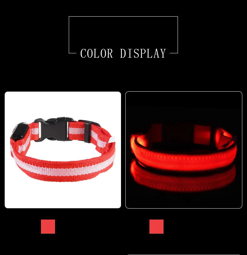 Night Safety Glow in the Dark Luminous Fluorescent Pet Dog Collar